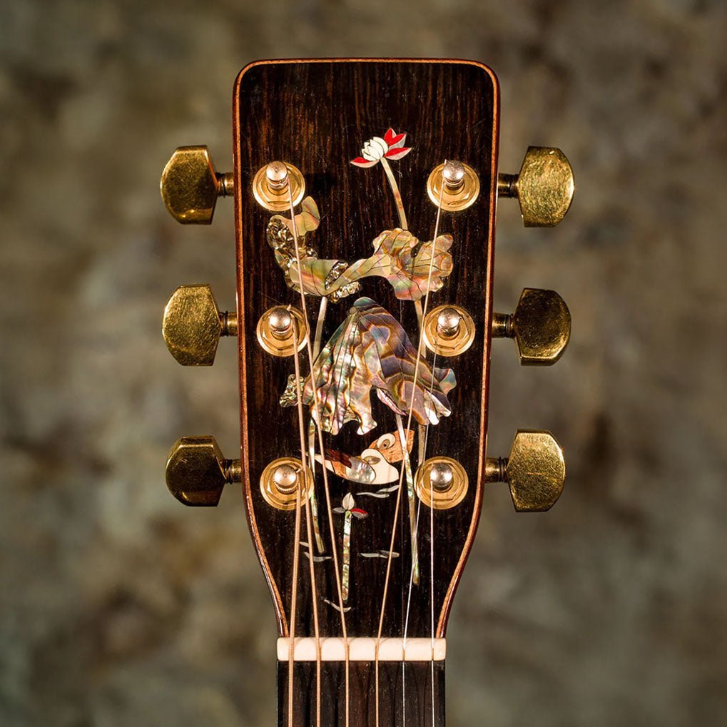 Janis Ian's 1978 Baggs Guitar - Baggs