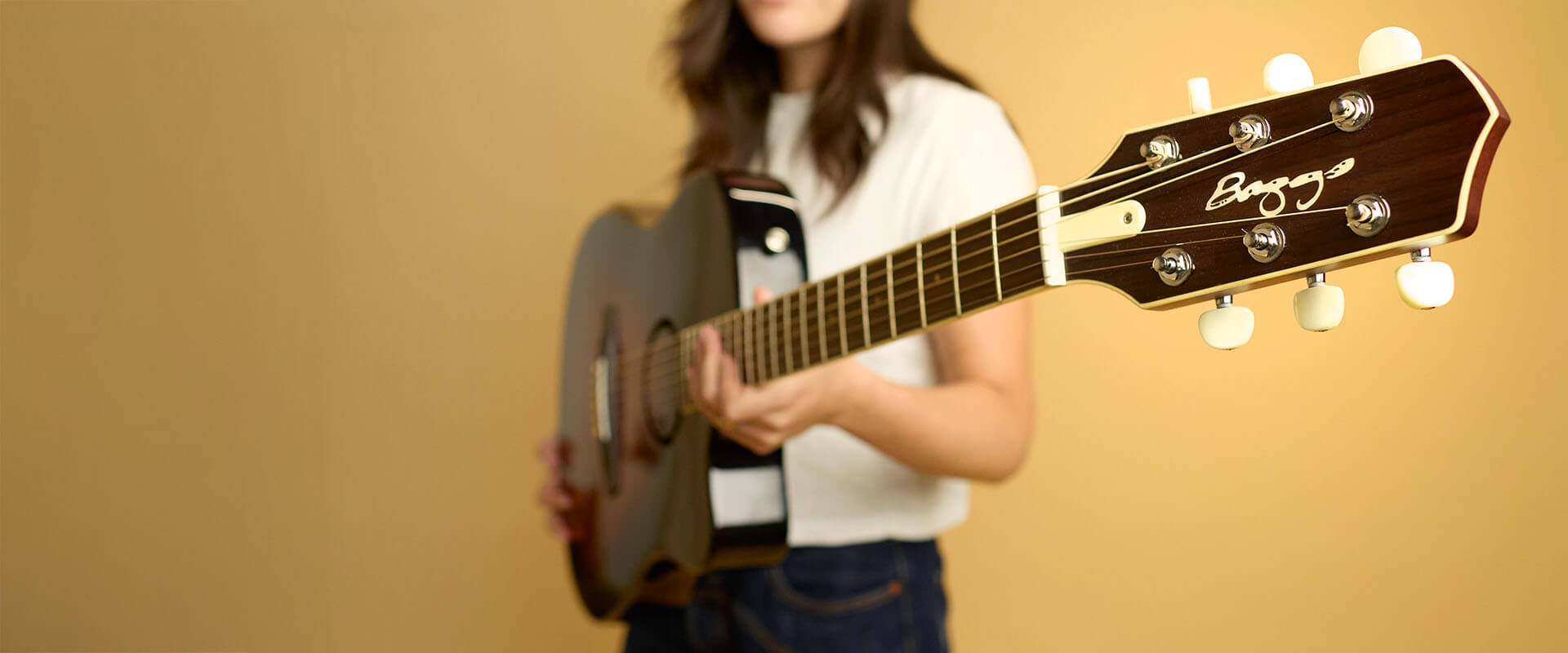 Acoustic-Electric Guitars - Baggs