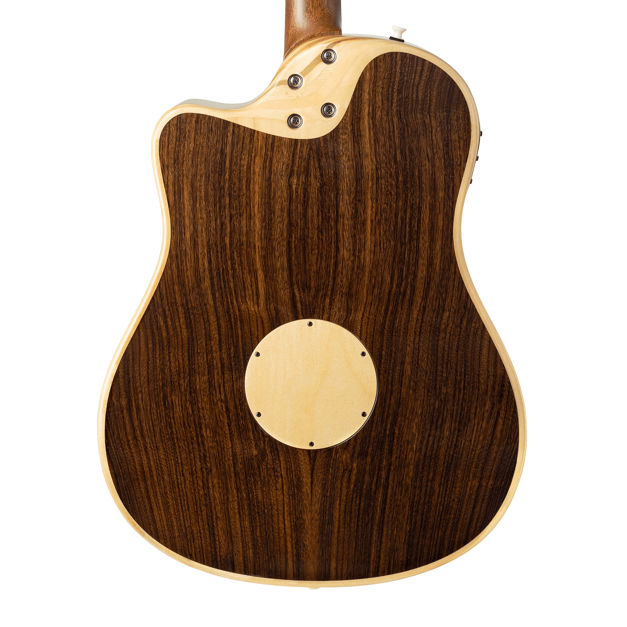 AEG-1 Acoustic Electric Guitar - Natural - Baggs