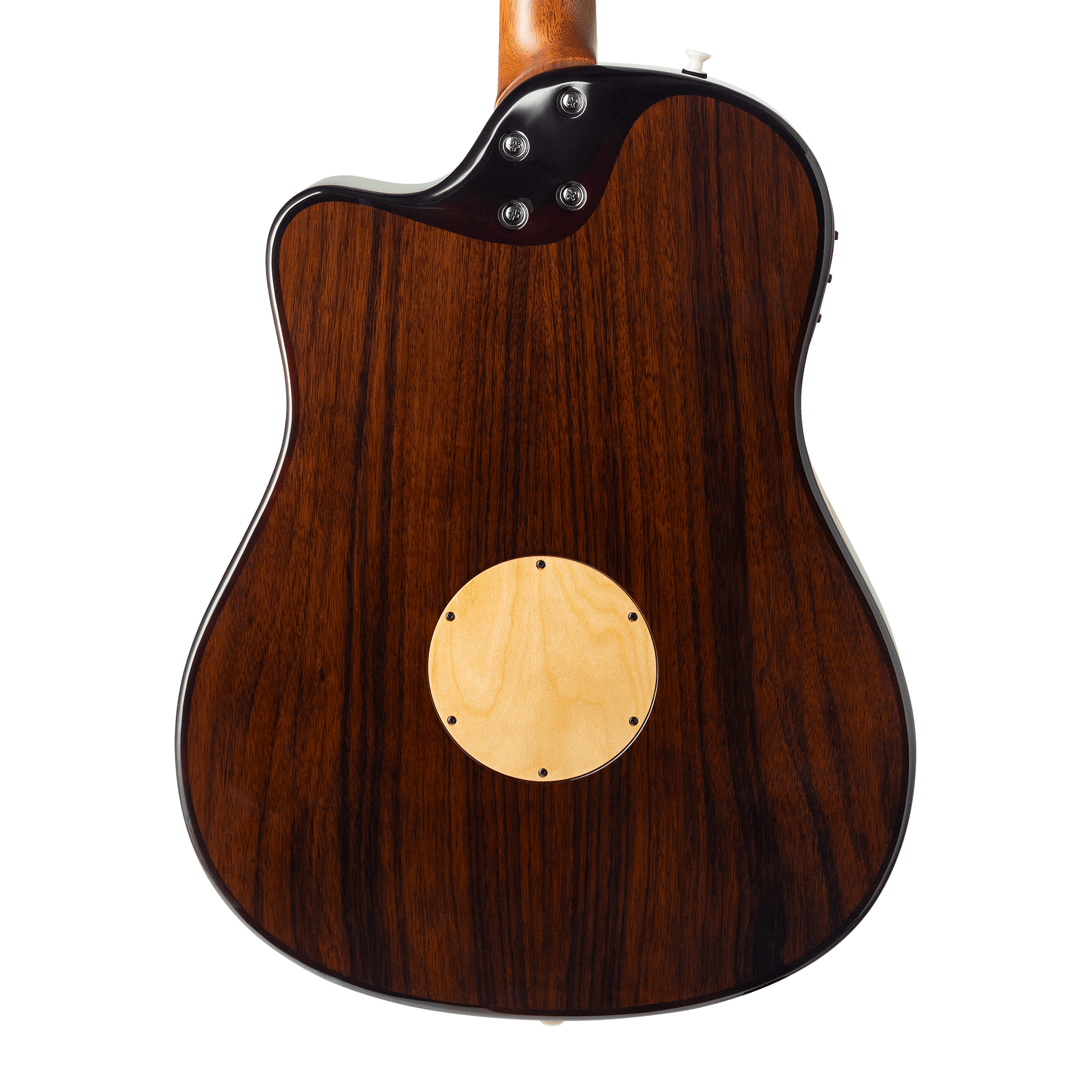 AEG-1 Acoustic Electric Guitar - Sunburst - Baggs