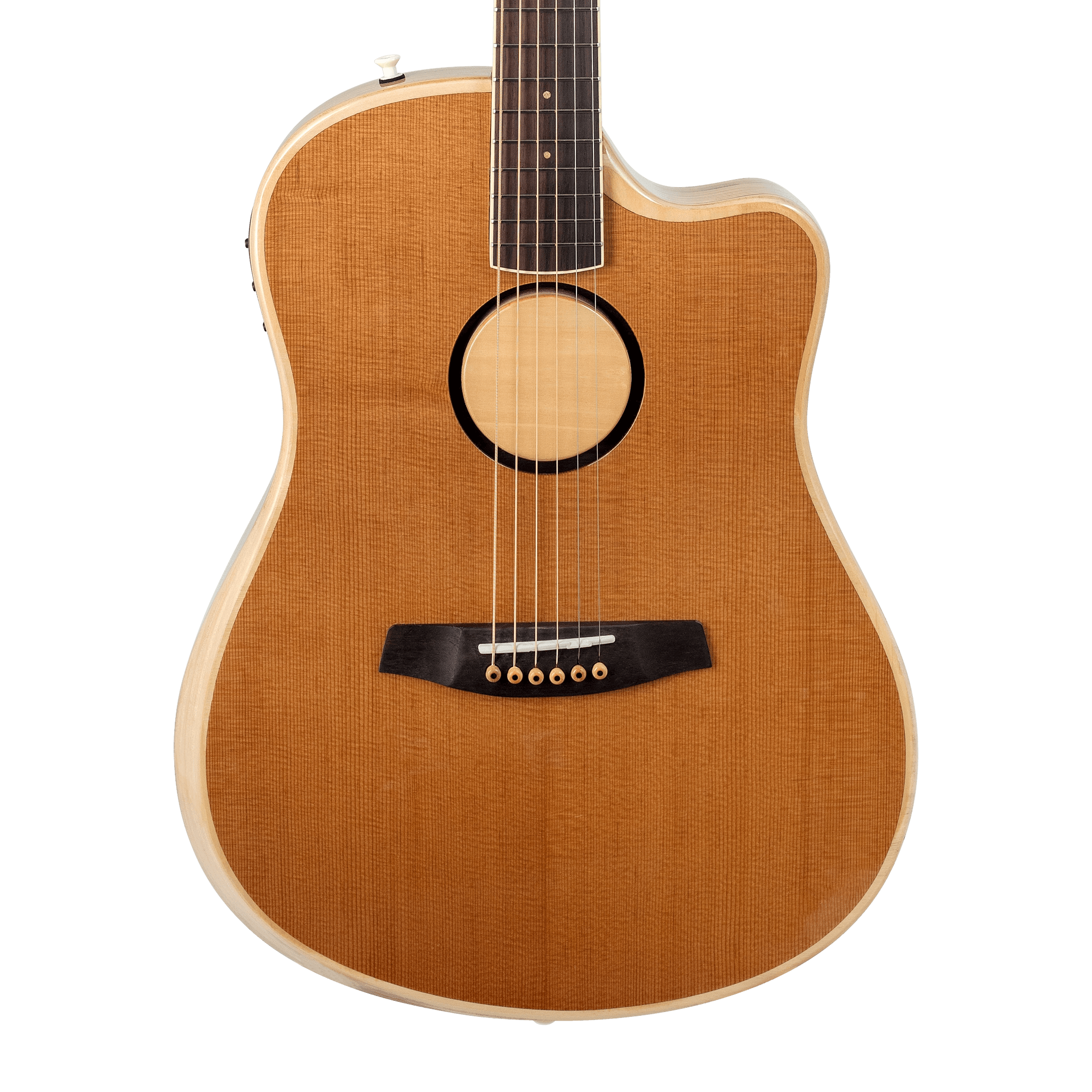 AEG-1 Acoustic Electric Guitar - Torrefied - Baggs