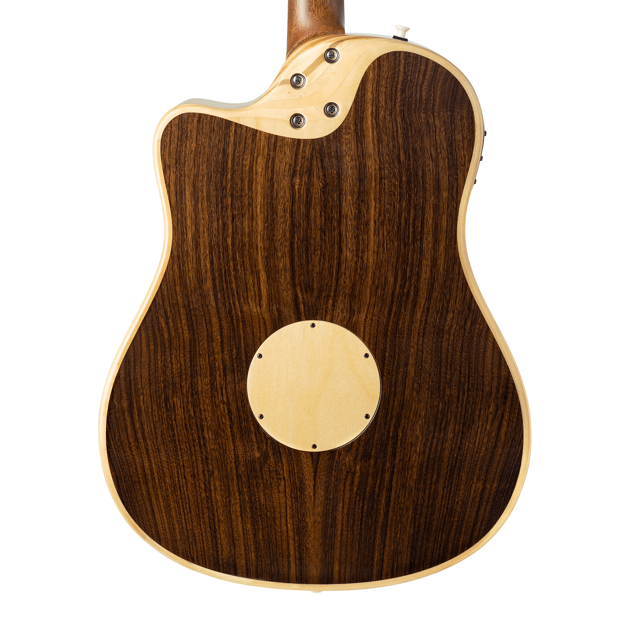 AEG-1 Acoustic Electric Guitar - Torrefied - Baggs