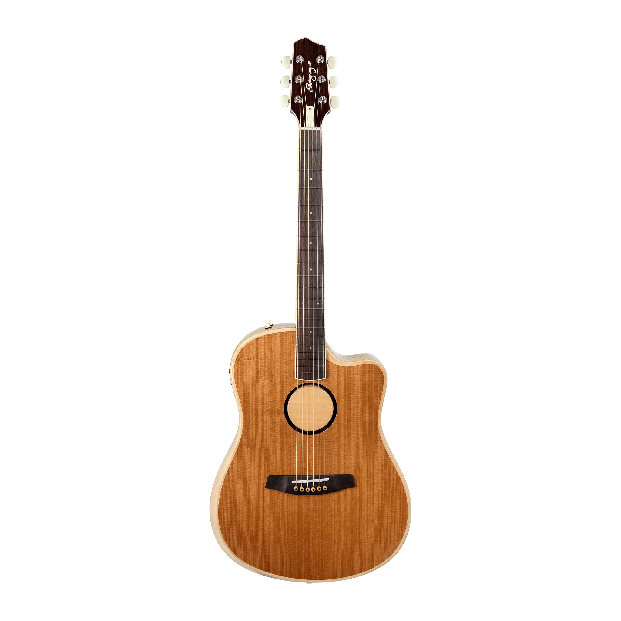 AEG-1 Acoustic Electric Guitar - Torrefied - Baggs