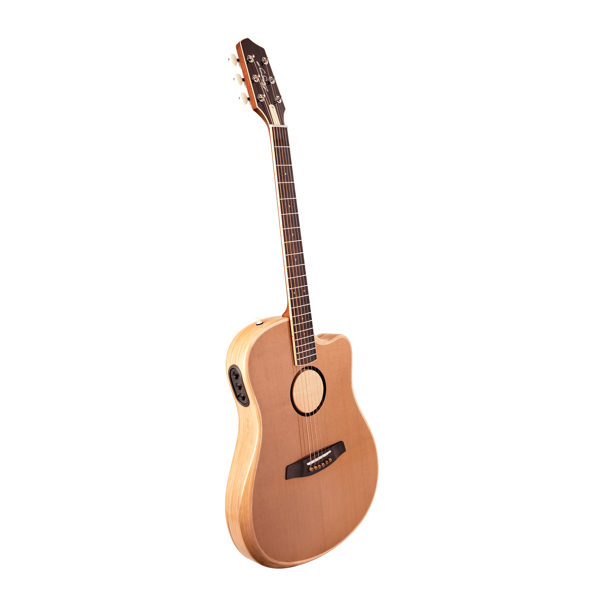 AEG-1 Acoustic Electric Guitar - Torrefied - Baggs