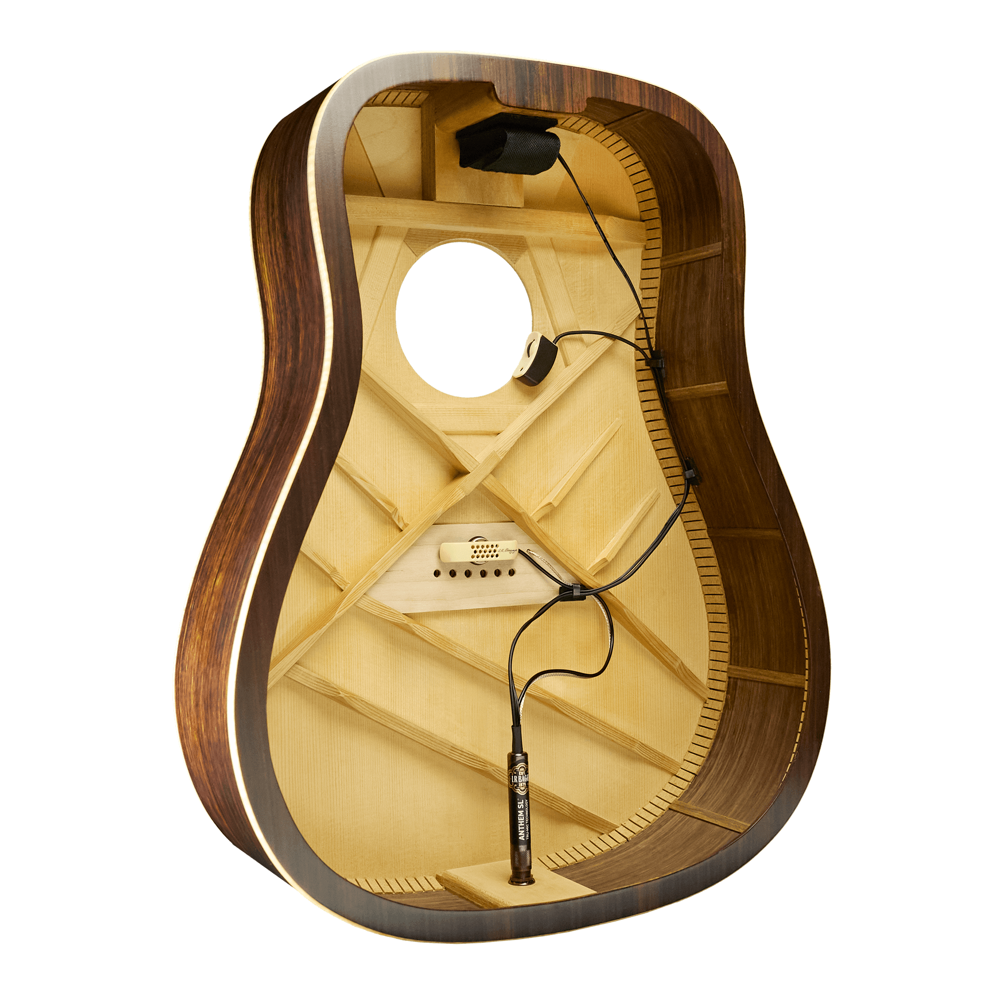 Anthem SL - Baggs