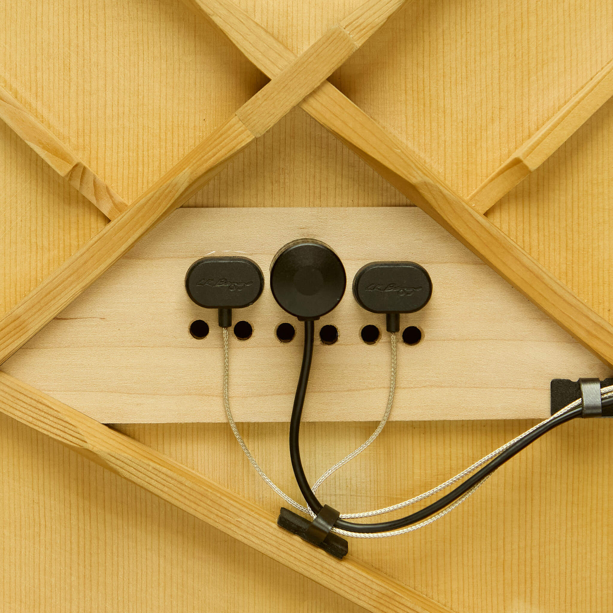 HiFi Duet Pickup + Microphone System
