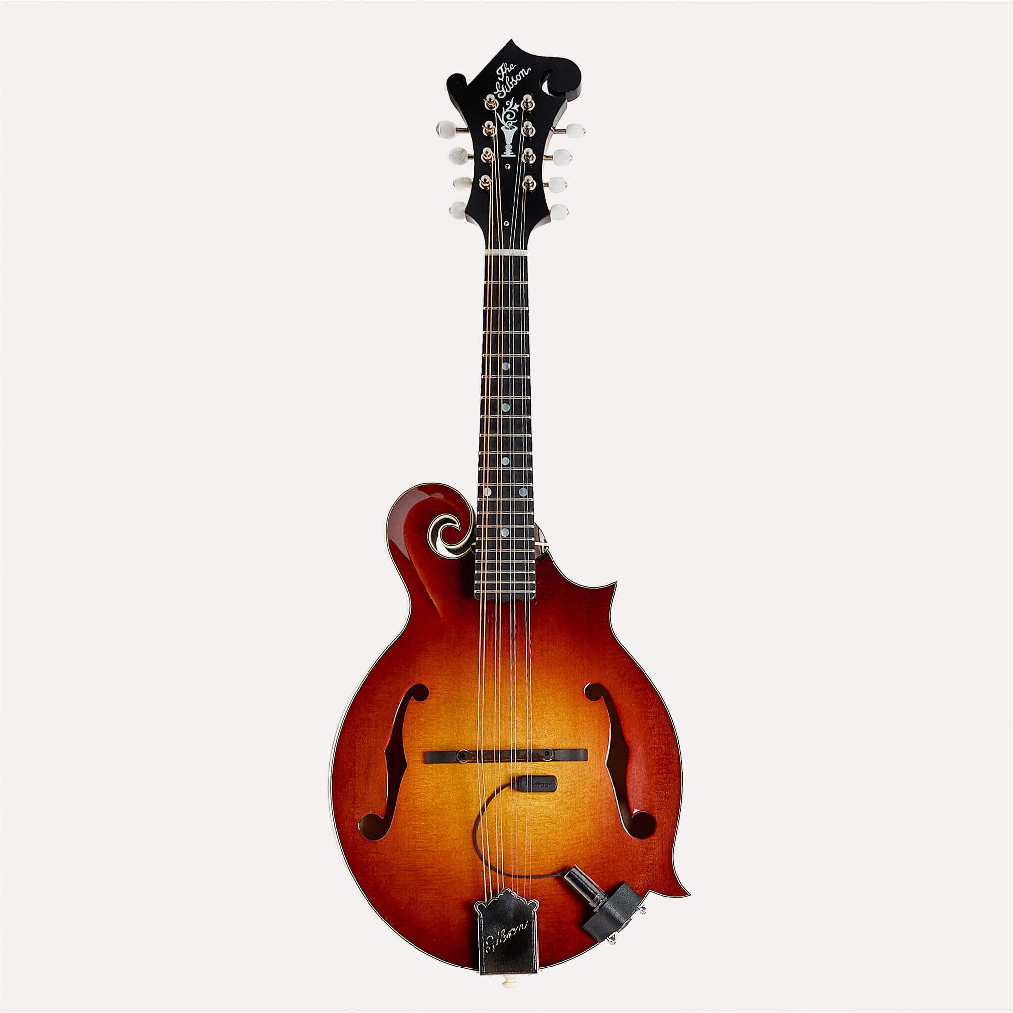Radius Mandolin Pickup - Baggs