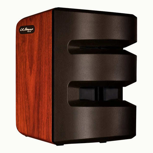 Synapse Personal P.A. System