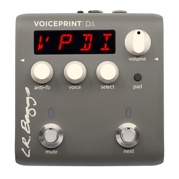 Voiceprint DI